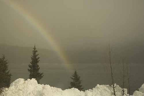 andy anderson coast starlight double rainbow image